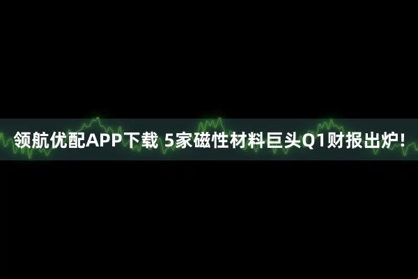 领航优配APP下载 5家磁性材料巨头Q1财报出炉!